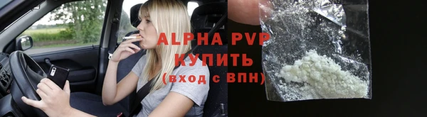 ешки Богданович