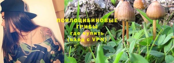ешки Богданович