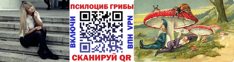 купить наркотики сайты  гидра как зайти  Галлюциногенные грибы Cubensis  Кингисепп 