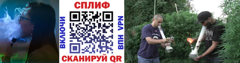 Конопля гибрид Кингисепп